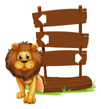 A lion beside the wooden arrowboards