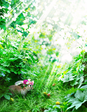 Easter Rabbit and Festive Eggs on the Glade
