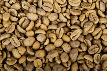 Green coffee beans