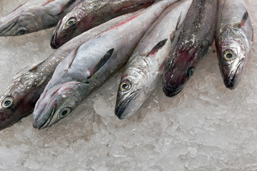 fresh fish Wuhan corona virus  seafood market pneumonia virus COVID 19
