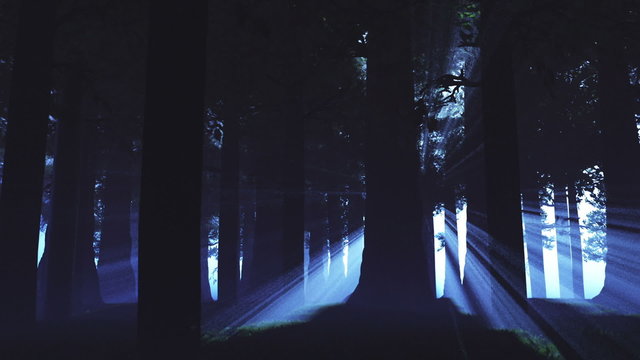 Supernatural Forest Lightrays 