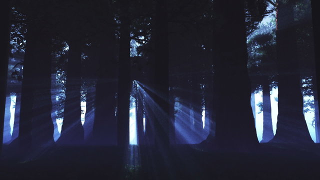 Supernatural Forest Lightrays 