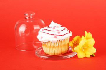 Cupcake on saucer with glass cover, on color background