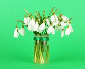 Bouquet of snowdrop flowers in glass vase, on color background