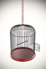Open bird cage