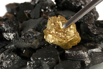 Tweezers holding golden nugget on coals background close-up
