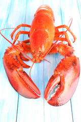 Red lobster on wooden table close-up