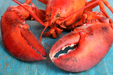 Red lobster on wooden table close-up