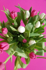 Obraz premium Grußkarte -Frühling Blumenstrauß - Tulpenstrauß von oben