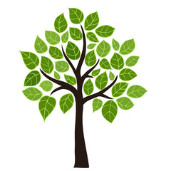 Stylized vector tree with green leafs. Element design - 50169611
