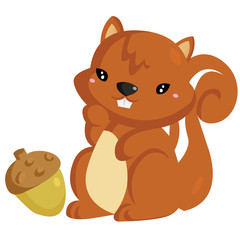 Fototapeta premium Squirrel