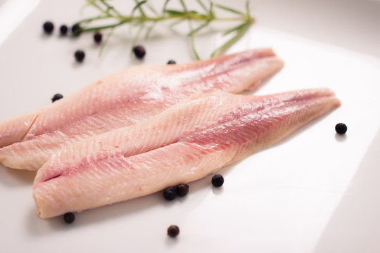 Forellen-Filet