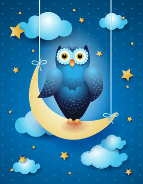 Owl And Moon