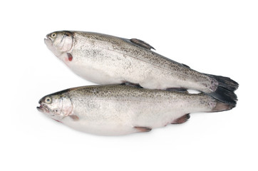 Alabalık