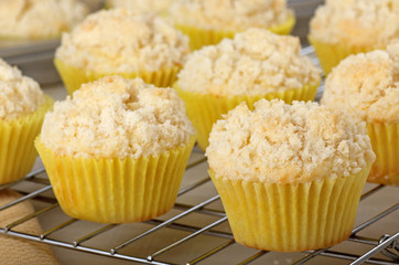 Lemon Muffins Cooling