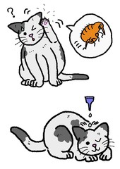 猫のノミの駆除