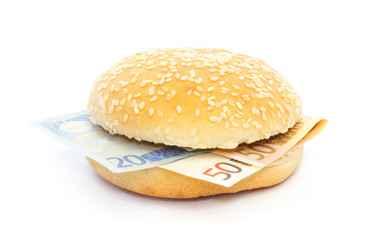 Euro burger with bank notes