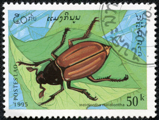 stamp printed in Laos shows image of a Melolontha melolontha