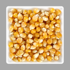 Popcorn seed, corn
