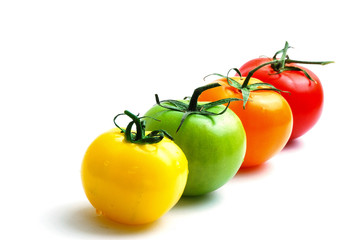 alignment of multicolored tomatoes