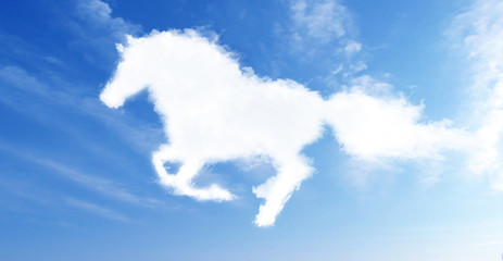 white stallion,2014 zodiac image.