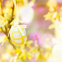 easter egg on forsythia