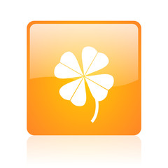 four-leaf clover orange square glossy web icon