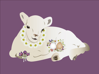 Spring lamb