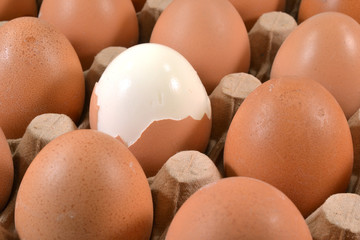 Egg tray with an egg with a once peeled peel.