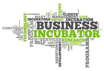 Word Cloud "Business Incubator"