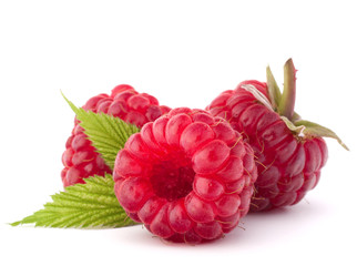 Ripe raspberries