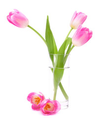 Pink tulips bouquet in vase isolated on white background