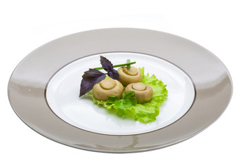 Ripe fresh Champignon