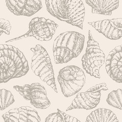 background with seashells