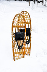 Snowshoes standing in snow