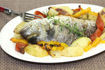dorade royale