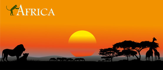 African savanna