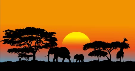 Foto op Canvas African savanna © dervish15