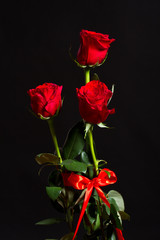 red Rose