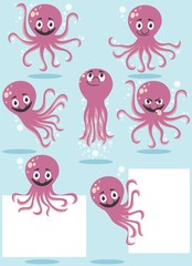 Octopus