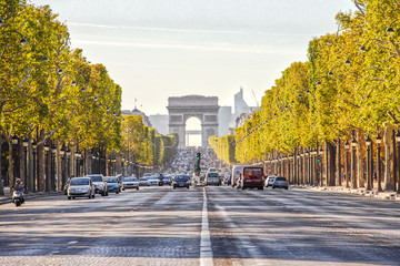 The Champs-Elysees - obrazy, fototapety, plakaty