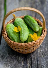 fresh cucumbers in a basket on wooden table
