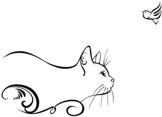 Cat & bird