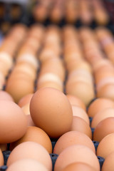 Eggs at the market