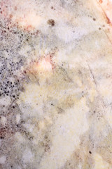Stained paper