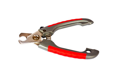 The tool for cutting dog's nail on white background
