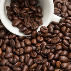 heap of coffee beans with cup