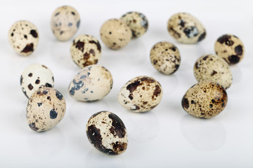 Obraz premium Quail eggs