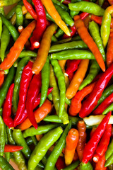 Colorful chili in green red orange color