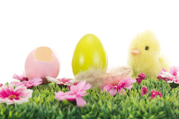 Chick on grass with flowers and easter eggs